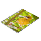 巣を作る時間 ノートブック (左側)