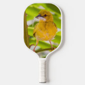 巣を作る時間 ピックルボールラケット (正面)