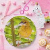 巣を作る時間 ペーパープレート (パーティー)