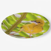 巣を作る時間 ペーパープレート (アングル)