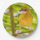 巣を作る時間 ペーパープレート (正面)