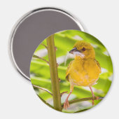 巣を作る時間 マグネット (正面/裏面)