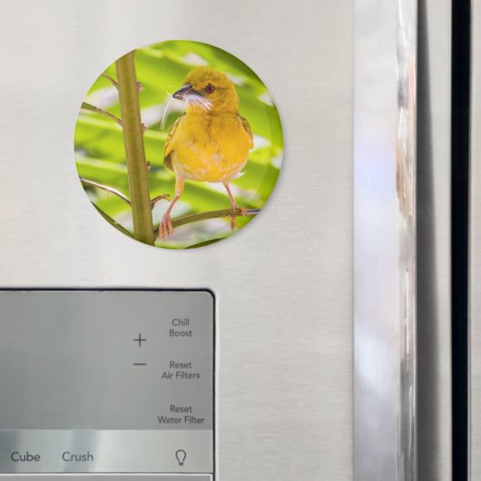 巣を作る時間 マグネット (インサイチュ (冷蔵庫))