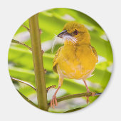 巣を作る時間 マグネット (正面)