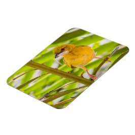 巣を作る時間 マグネット