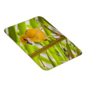 巣を作る時間 マグネット (右側)