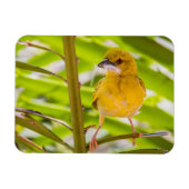 巣を作る時間 マグネット (横)