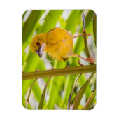 巣を作る時間 マグネット (縦)