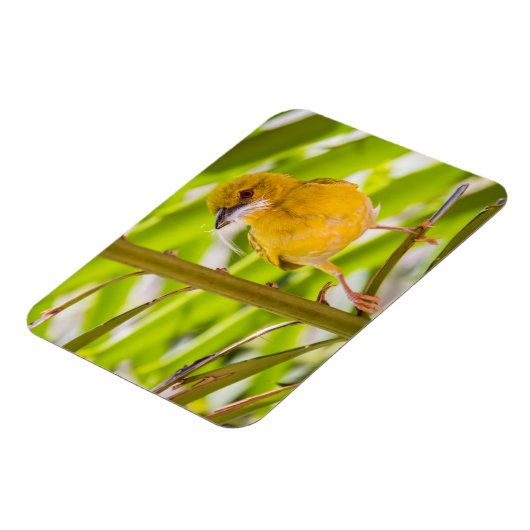 巣を作る時間 マグネット (左側)