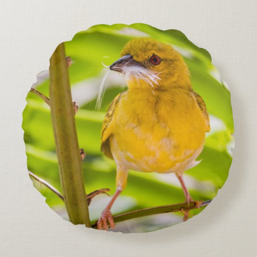 巣を作る時間 ラウンドクッション (正面)