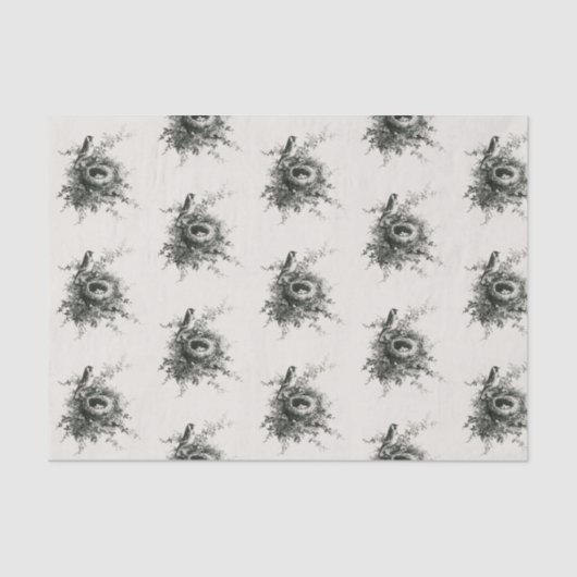 巣カスタムティッシュペーパー卵 薄葉紙 (正面)