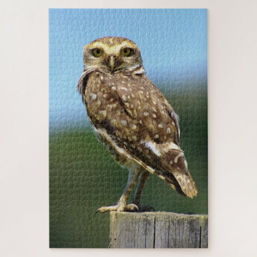 巣穴に入るフクロウの鳥 ジグソーパズル (縦)