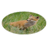巣穴近くの草むらにいるアカギツネの幼獣 カッティングボード (角)