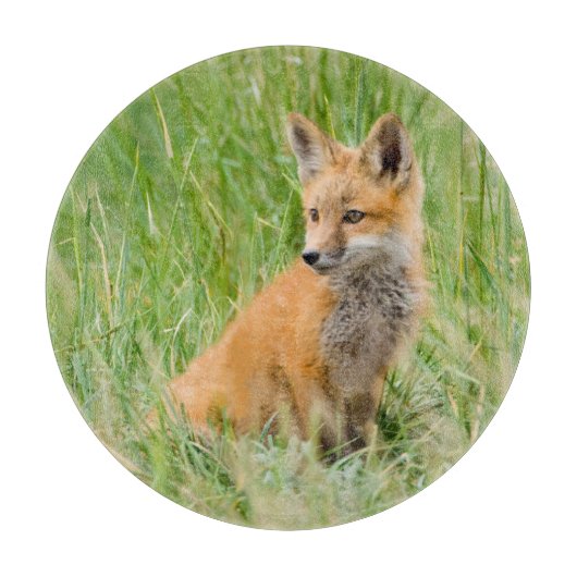 巣穴近くの草むらにいるアカギツネの幼獣 カッティングボード (正面)