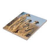 巣窟にいる家族 タイル (側面)