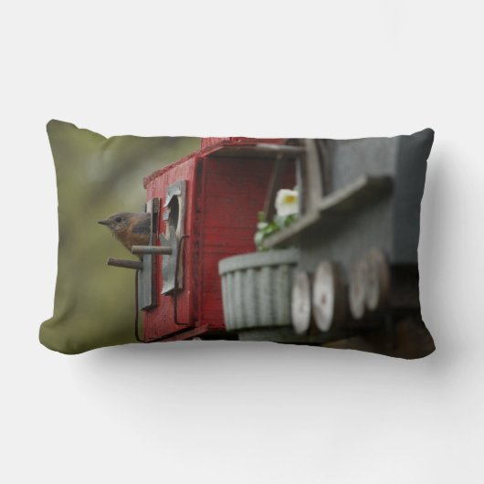 巣箱の枕のブルーバード ランバークッション (正面)