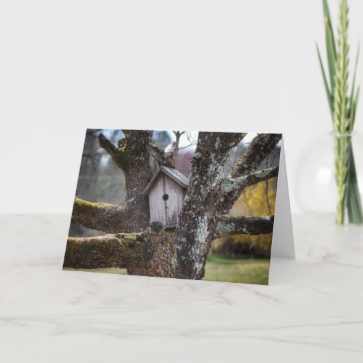 巣箱4219のFramableのgreetibgカード カード (正面)