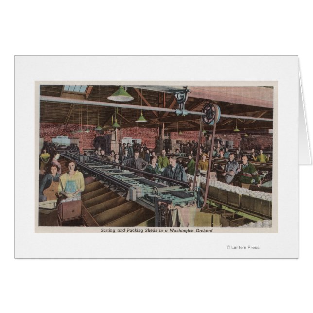 工場および作業者の分類と梱包(インテリア) (正面横)