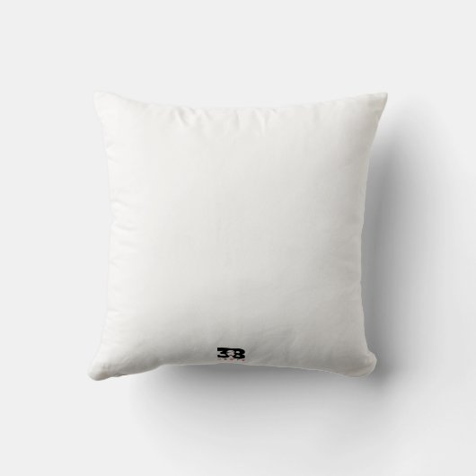 工芸品 クッション (裏面)