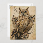 巧みなフールヴィンテージ ポストカード (正面/裏面)