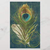 巧みな詳細孔雀フェザープログラムフライヤー チラシ (裏面)