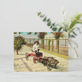 巧妙なフロリダのアリゲーターの動きの発表 (スタンド正面)