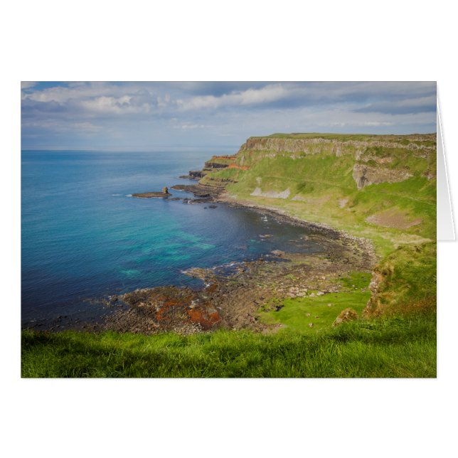 巨人の土手道の上 (正面横)