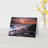 巨人の土手道 カード (黄色い花)