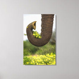 巨人の花 キャンバスプリント