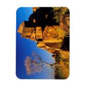 巨人の遊び場、岩の形成と木 マグネット (縦)