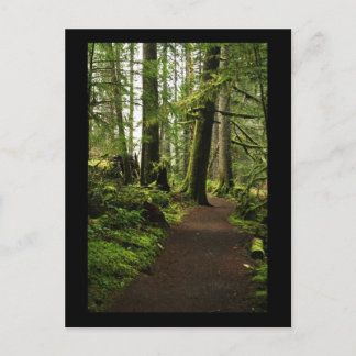 巨人の間の小道 ポストカード