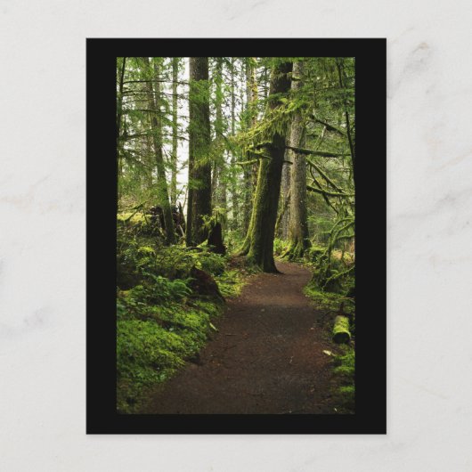 巨人の間の小道 ポストカード (正面)