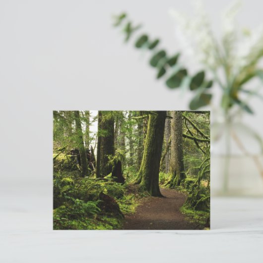 巨人の間を歩く ポストカード (スタンド正面)