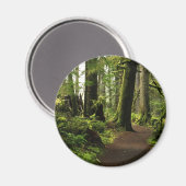 巨人の間を歩く マグネット (正面/裏面)