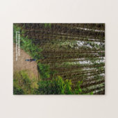 巨人の間を歩く – レッドウッド国有林 ジグソーパズル (横)