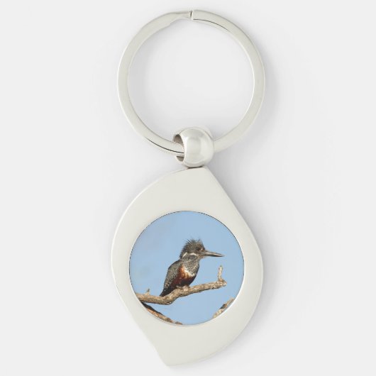 巨人キングフィッシャー キーホルダー (正面)