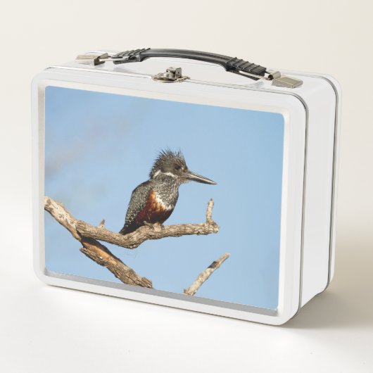 巨人キングフィッシャー メタルランチボックス (正面)