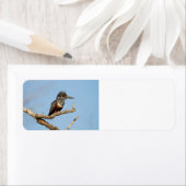 巨人キングフィッシャー ラベル (インサイチュ)