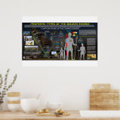 巨人ゴリアテ – 予言的パターン ポスター (キッチン)