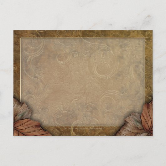 巨大かぼちゃ葉書 ポストカード (裏面)