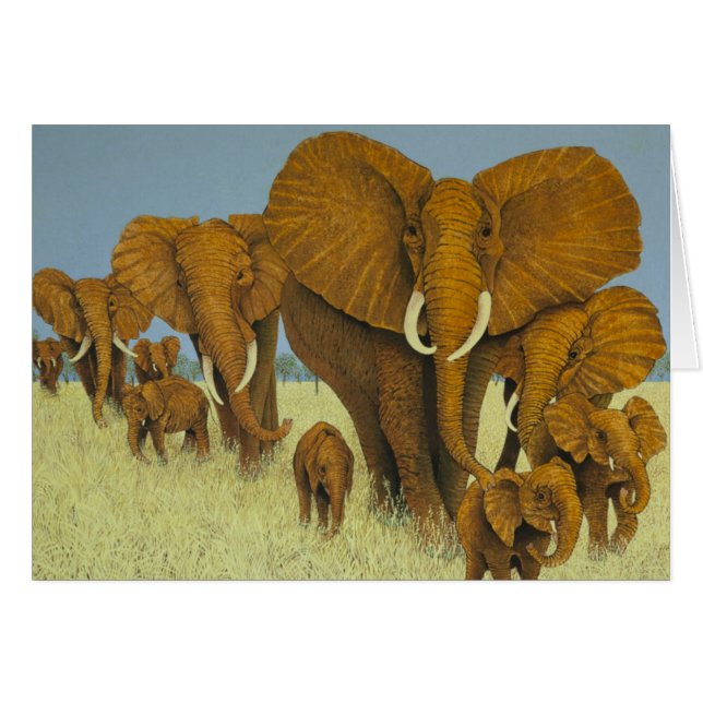 巨大しかし気になります (正面横)