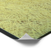 巨大だが気には ポスター (角)