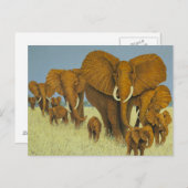 巨大だが気には ポストカード (正面/裏面)