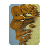 巨大だが気には マグネット (縦)