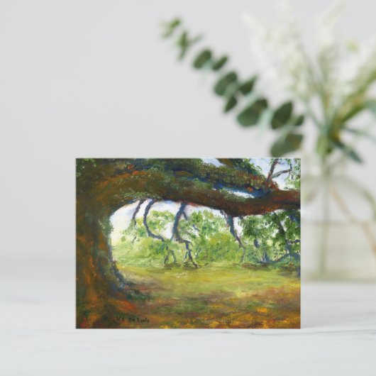 巨大で古いルイジアナのオークの木 ポストカード (スタンド正面)