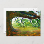 巨大で古いルイジアナのオークの木 ポストカード (正面/裏面)