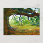 巨大で古いルイジアナのオークの木 ポストカード (正面)