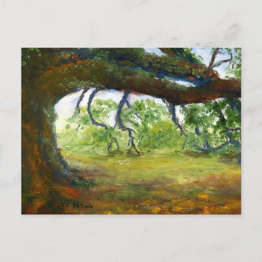 巨大で古いルイジアナのオークの木 ポストカード (正面)