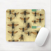 巨大なくもの狩りのスズメバチとのマウスパッド マウスパッド (マウス)