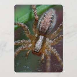 巨大なくも 招待状